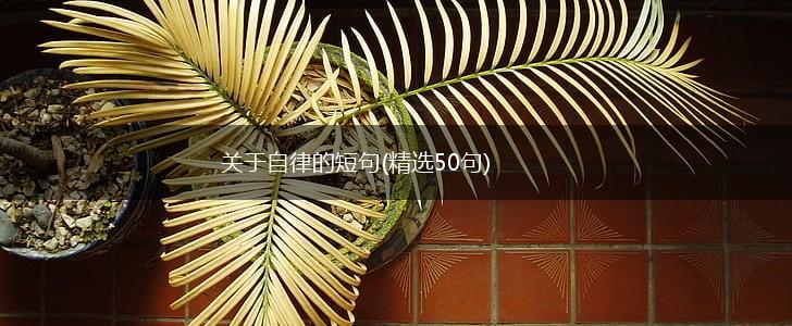 关于自律的短句(精选50句),第1张