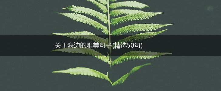 关于海边的唯美句子(精选50句),第1张