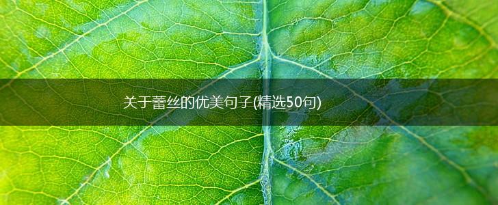 关于蕾丝的优美句子(精选50句),第1张