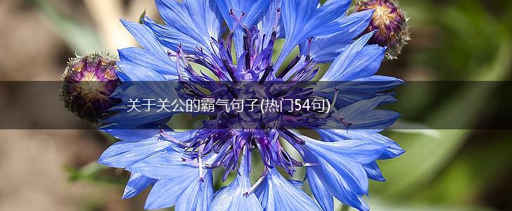 关于关公的霸气句子(热门54句),第1张