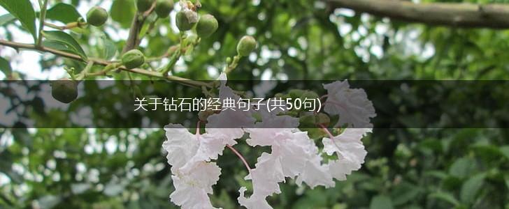 关于钻石的经典句子(共50句),第1张