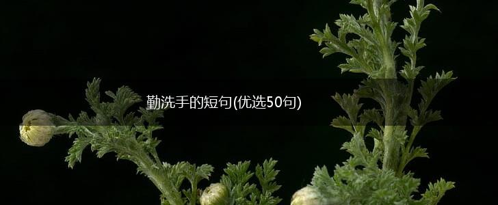 勤洗手的短句(优选50句),第1张
