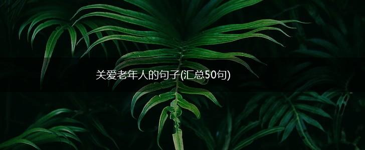 关爱老年人的句子(汇总50句),第1张