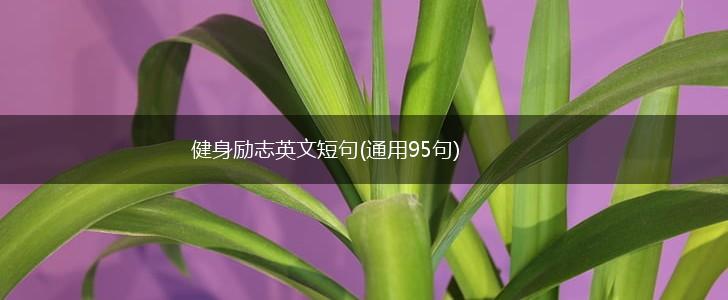 健身励志英文短句(通用95句),第1张