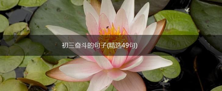 初三奋斗的句子(精选49句),第1张
