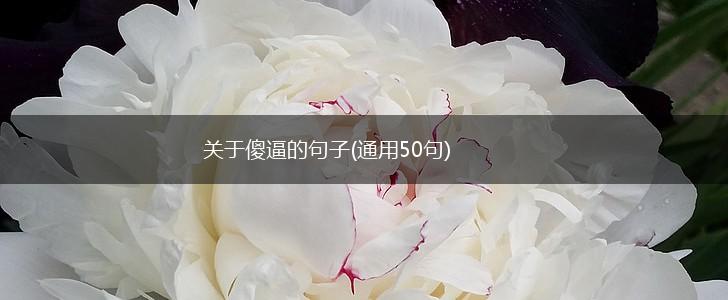 关于傻逼的句子(通用50句),第1张