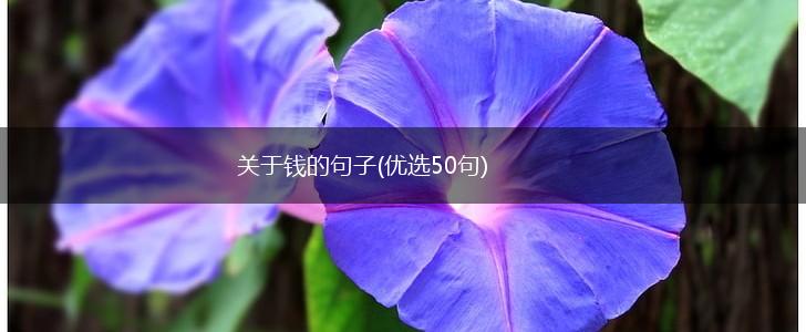 关于钱的句子(优选50句),第1张