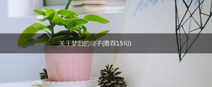 关于梦泪的句子(推荐15句),第1张