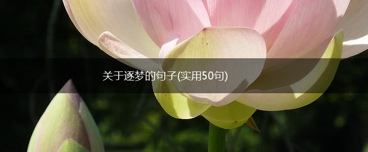 关于逐梦的句子(实用50句),第1张