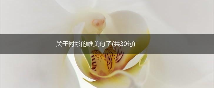 关于衬衫的唯美句子(共30句),第1张
