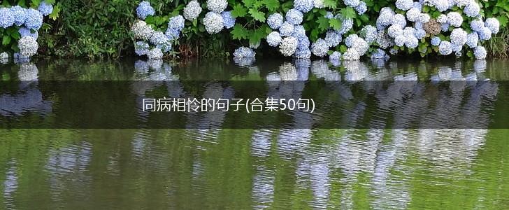 同病相怜的句子(合集50句),第1张