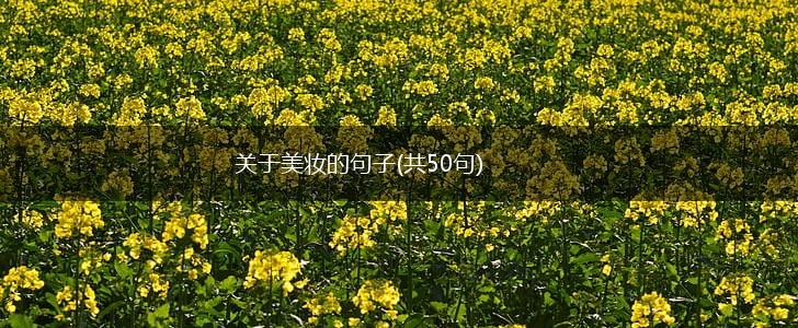 关于美妆的句子(共50句),第1张