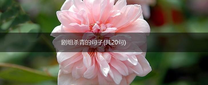 剧组杀青的句子(共20句),第1张