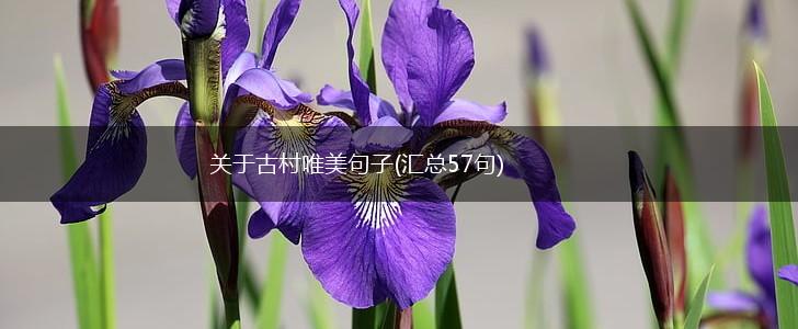 关于古村唯美句子(汇总57句),第1张
