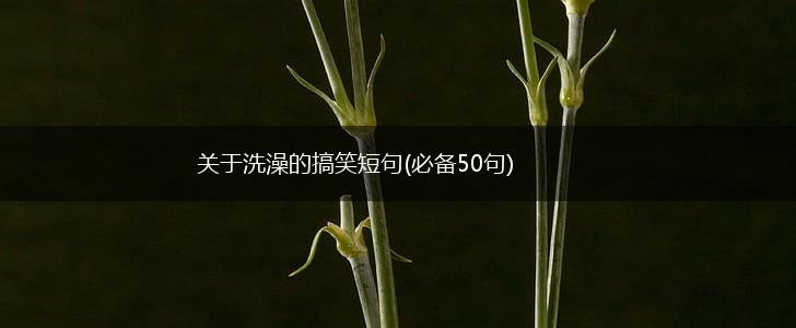 关于洗澡的搞笑短句(必备50句),第1张