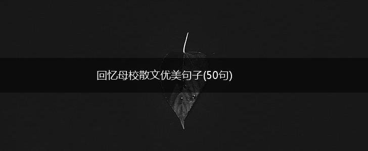 回忆母校散文优美句子(50句),第1张