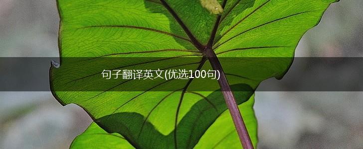 句子翻译英文(优选100句),第1张