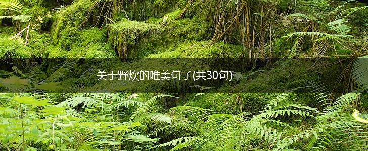 关于野炊的唯美句子(共30句),第1张