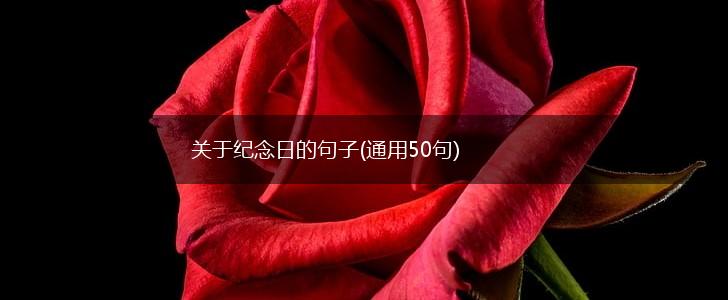 关于纪念日的句子(通用50句),第1张