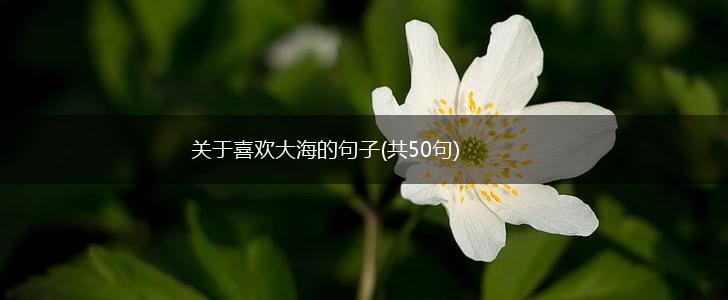 关于喜欢大海的句子(共50句),第1张
