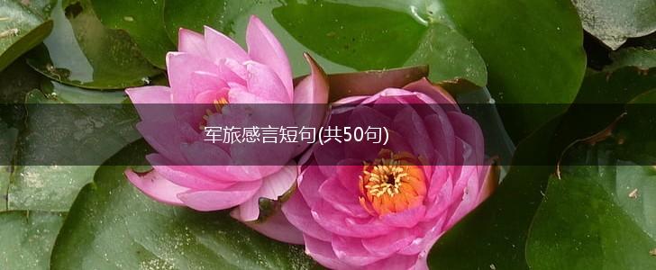 军旅感言短句(共50句),第1张