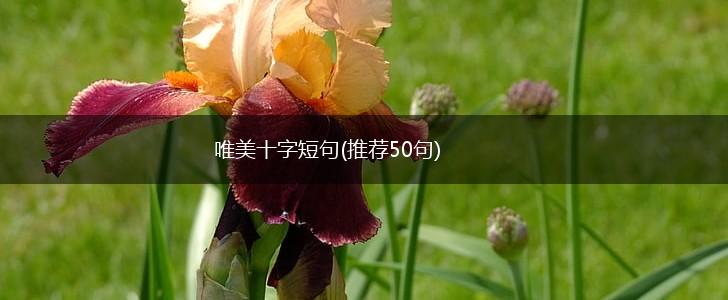 唯美十字短句(推荐50句),第1张 唯美十字短句(推荐50句),第1张