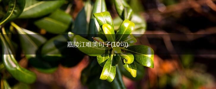嘉陵江唯美句子(10句),第1张