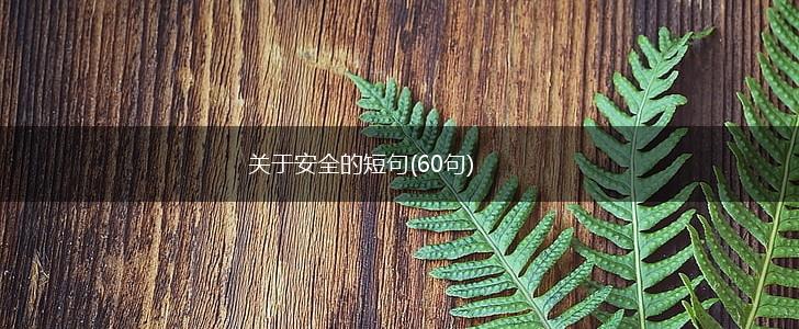 关于安全的短句(60句),第1张