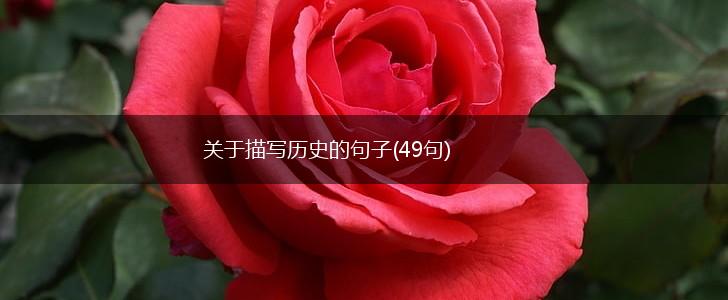 关于描写历史的句子(49句),第1张