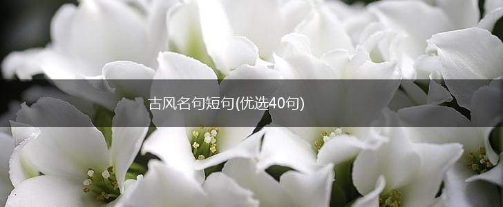 古风名句短句(优选40句),第1张
