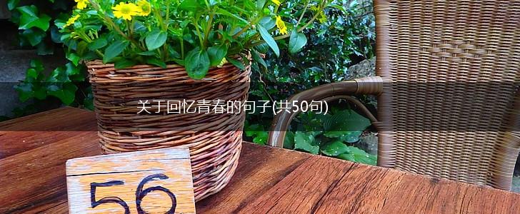 关于回忆青春的句子(共50句),第1张