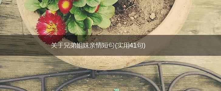 关于兄弟姐妹亲情短句(实用41句),第1张 关于兄弟姐妹亲情短句(实用41句),第1张