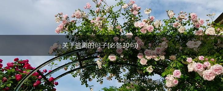 关于逃离的句子(必备30句),第1张 关于逃离的句子(必备30句),第1张