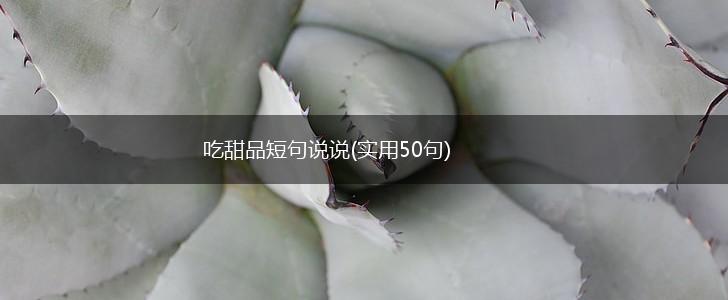 吃甜品短句说说(实用50句),第1张