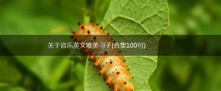 关于音乐英文唯美句子(合集100句),第1张