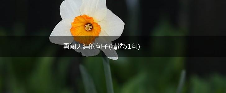 勇闯天涯的句子(精选51句),第1张