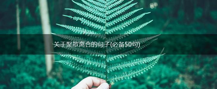 关于聚散离合的句子(必备50句),第1张