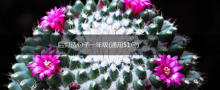 后悔造句子一年级(通用51句),第1张