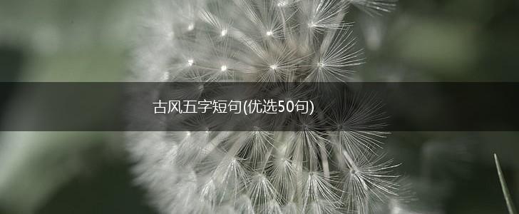 古风五字短句(优选50句),第1张