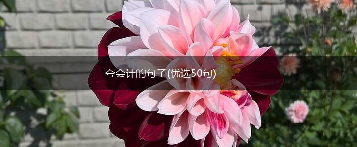 夸会计的句子(优选50句),第1张