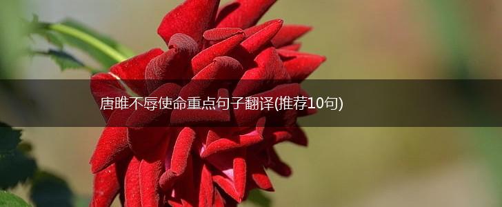 唐雎不辱使命重点句子翻译(推荐10句),第1张