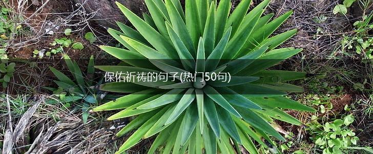 保佑祈祷的句子(热门50句),第1张