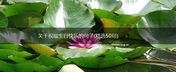 关于祝福生日快乐的句子(精选50句),第1张