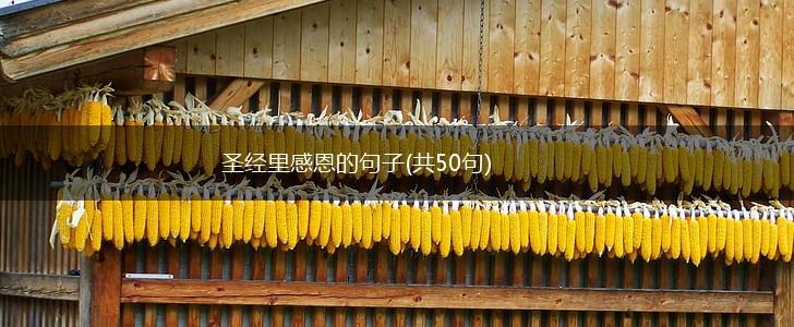 圣经里感恩的句子(共50句),第1张