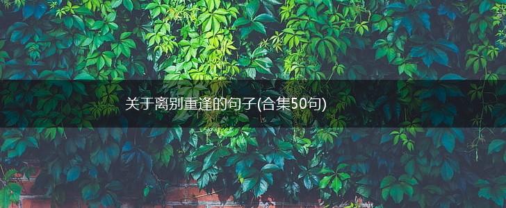 关于离别重逢的句子(合集50句),第1张