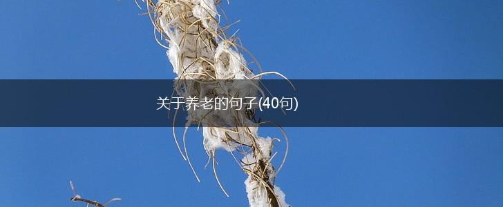 关于养老的句子(40句),第1张