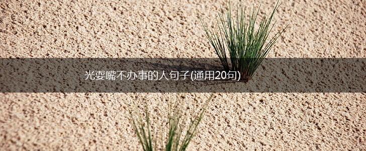 光耍嘴不办事的人句子(通用20句),第1张