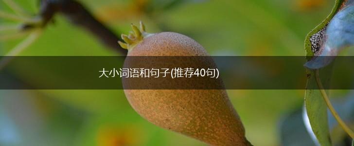 大小词语和句子(推荐40句),第1张