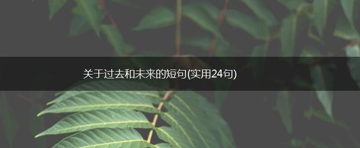 关于过去和未来的短句(实用24句),第1张