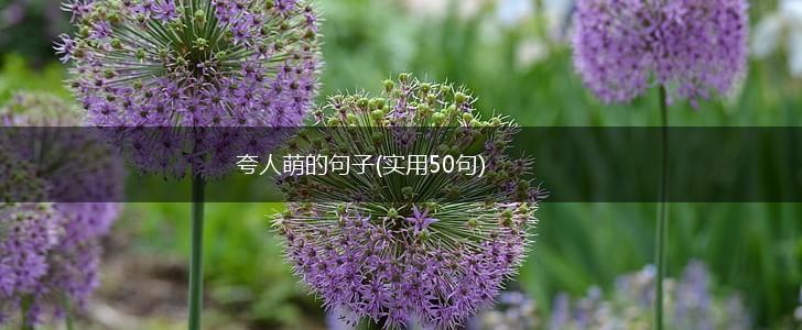 夸人萌的句子(实用50句),第1张